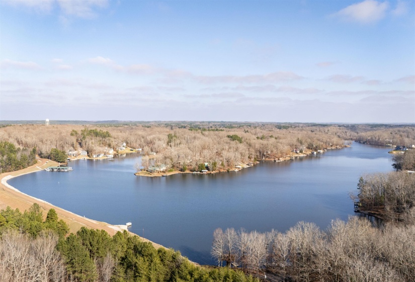 Drone / aerial view of a forest and a nearby body of water