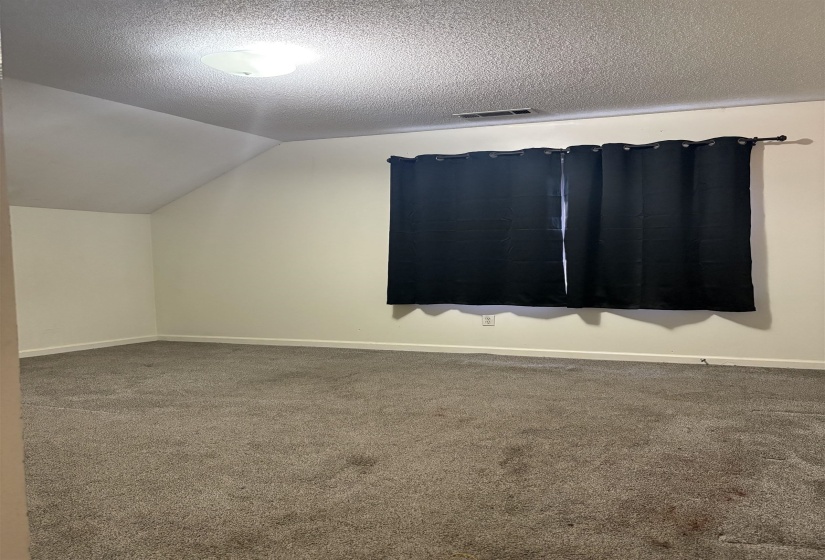 Additional living space with lofted ceiling, a textured ceiling, and carpet