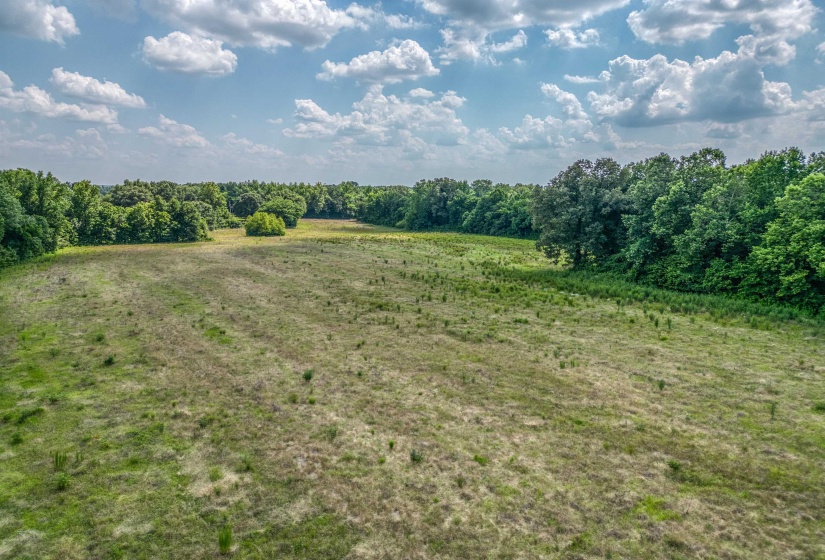 View of local wilderness with rural landscape