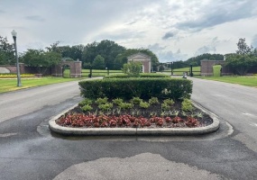 360 LEXINGTON MANOR DR, Eads, Tennessee 38028, ,Land,For Sale,LEXINGTON MANOR,10177588