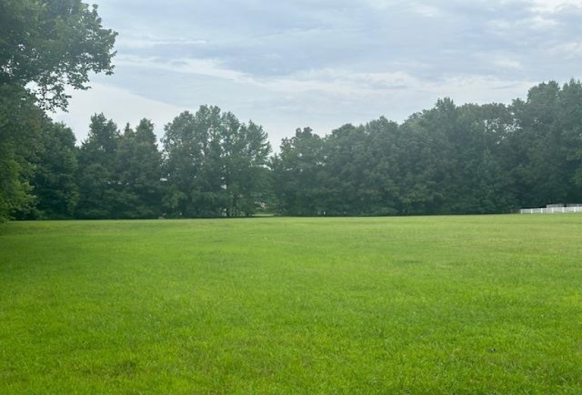 360 LEXINGTON MANOR DR, Eads, Tennessee 38028, ,Land,For Sale,LEXINGTON MANOR,10177588