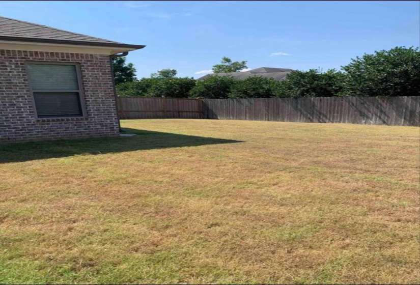 View of fenced backyard