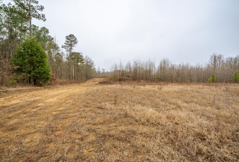 10970 PEA VINE RD, Pocahontas, Tennessee 38061-5002, ,Land,For Sale,PEA VINE,10211941
