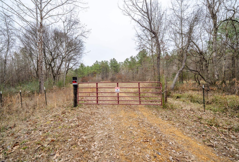 10970 PEA VINE RD, Pocahontas, Tennessee 38061-5002, ,Land,For Sale,PEA VINE,10211941