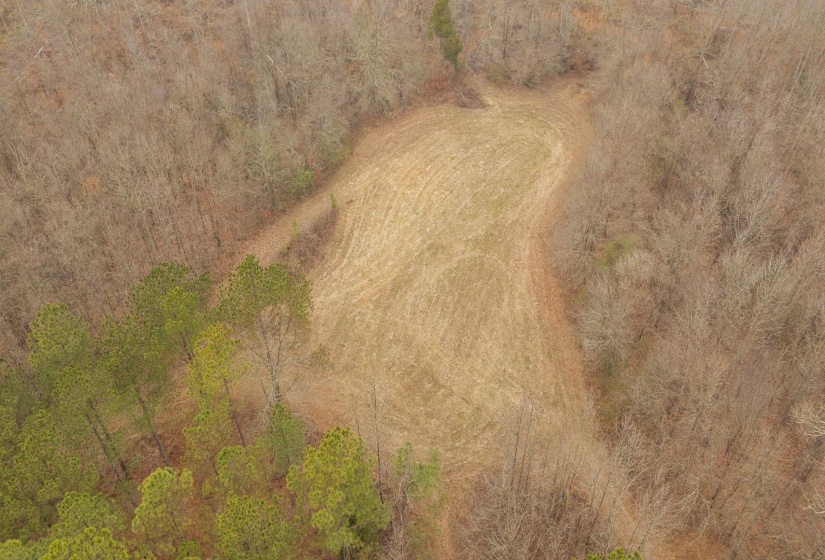 10970 PEA VINE RD, Pocahontas, Tennessee 38061-5002, ,Land,For Sale,PEA VINE,10211941