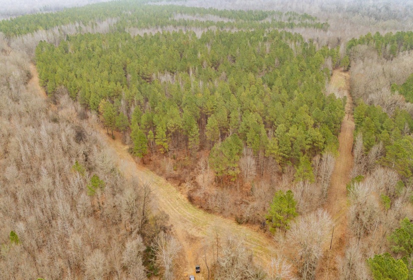 10970 PEA VINE RD, Pocahontas, Tennessee 38061-5002, ,Land,For Sale,PEA VINE,10211941