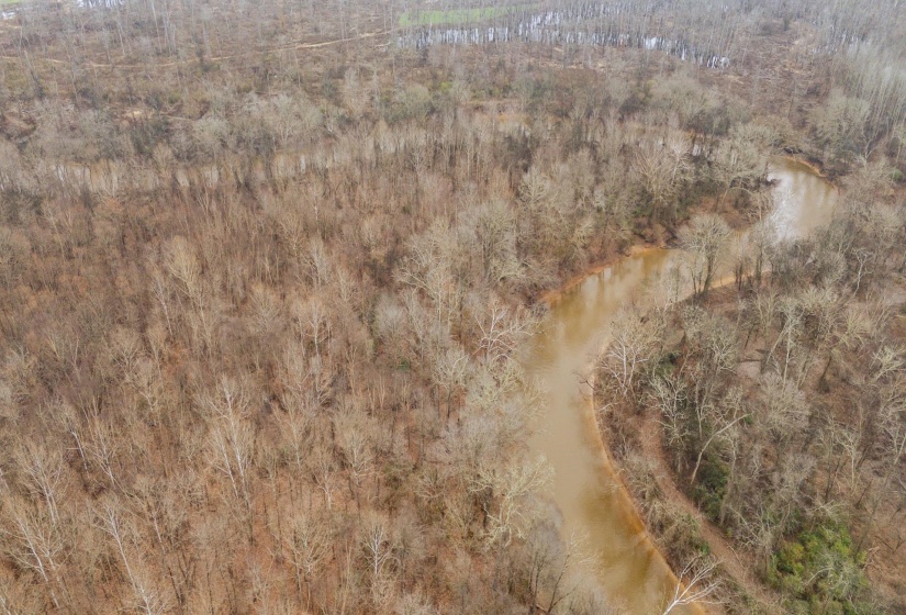 10970 PEA VINE RD, Pocahontas, Tennessee 38061-5002, ,Land,For Sale,PEA VINE,10211941