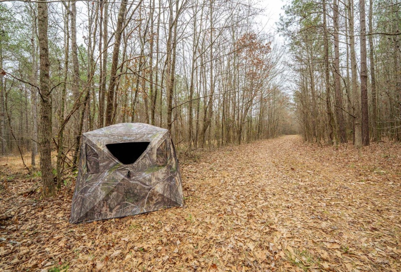 10970 PEA VINE RD, Pocahontas, Tennessee 38061-5002, ,Land,For Sale,PEA VINE,10211941