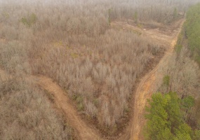 10970 PEA VINE RD, Pocahontas, Tennessee 38061-5002, ,Land,For Sale,PEA VINE,10211941 10970 PEA VINE RD, Pocahontas, Tennessee 38061-5002, ,Land,For Sale,PEA VINE,10211941
