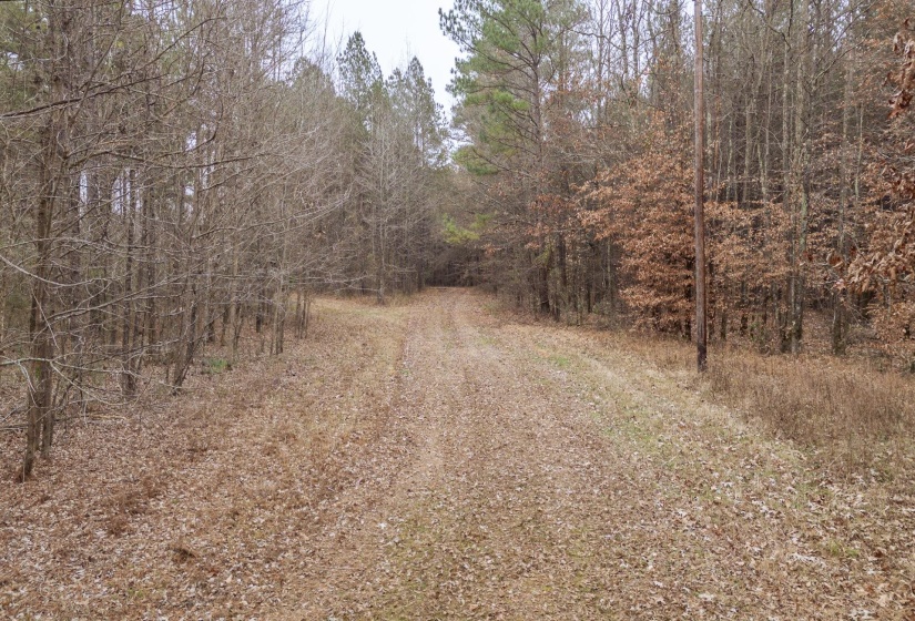 10970 PEA VINE RD, Pocahontas, Tennessee 38061-5002, ,Land,For Sale,PEA VINE,10211941
