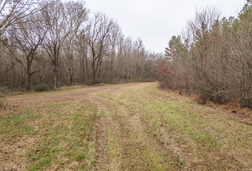 10970 PEA VINE RD, Pocahontas, Tennessee 38061-5002, ,Land,For Sale,PEA VINE,10211941