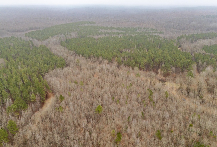 10970 PEA VINE RD, Pocahontas, Tennessee 38061-5002, ,Land,For Sale,PEA VINE,10211941