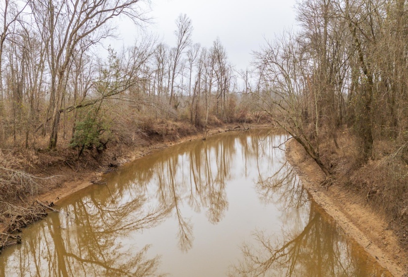 10970 PEA VINE RD, Pocahontas, Tennessee 38061-5002, ,Land,For Sale,PEA VINE,10211941