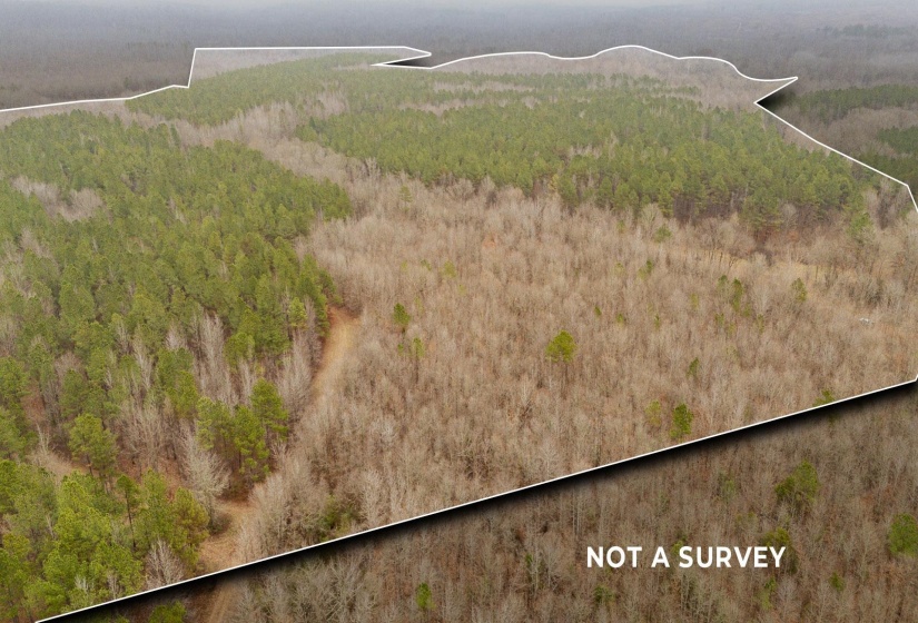 10970 PEA VINE RD, Pocahontas, Tennessee 38061-5002, ,Land,For Sale,PEA VINE,10211941