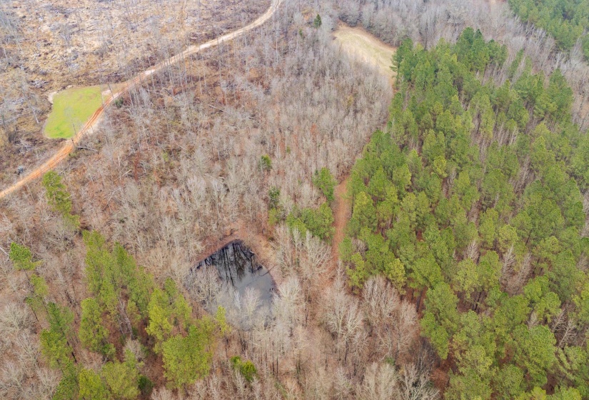 10970 PEA VINE RD, Pocahontas, Tennessee 38061-5002, ,Land,For Sale,PEA VINE,10211941
