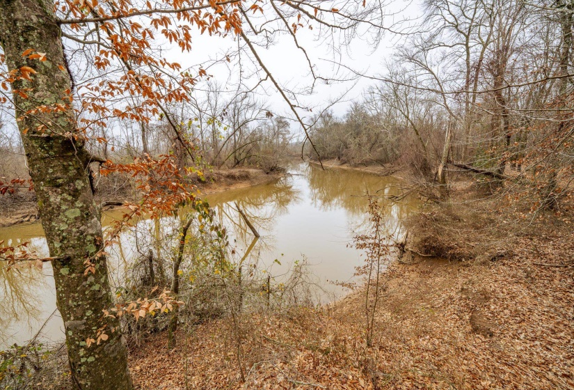 10970 PEA VINE RD, Pocahontas, Tennessee 38061-5002, ,Land,For Sale,PEA VINE,10211941