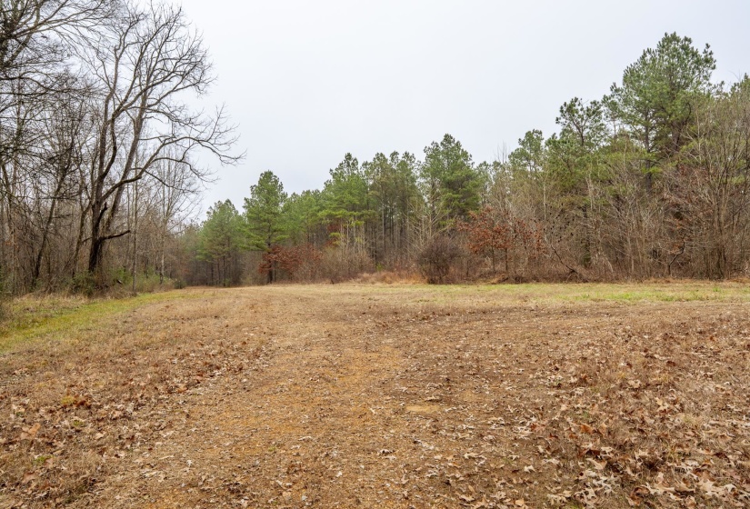 10970 PEA VINE RD, Pocahontas, Tennessee 38061-5002, ,Land,For Sale,PEA VINE,10211941