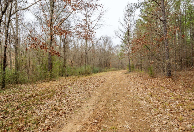 10970 PEA VINE RD, Pocahontas, Tennessee 38061-5002, ,Land,For Sale,PEA VINE,10211941