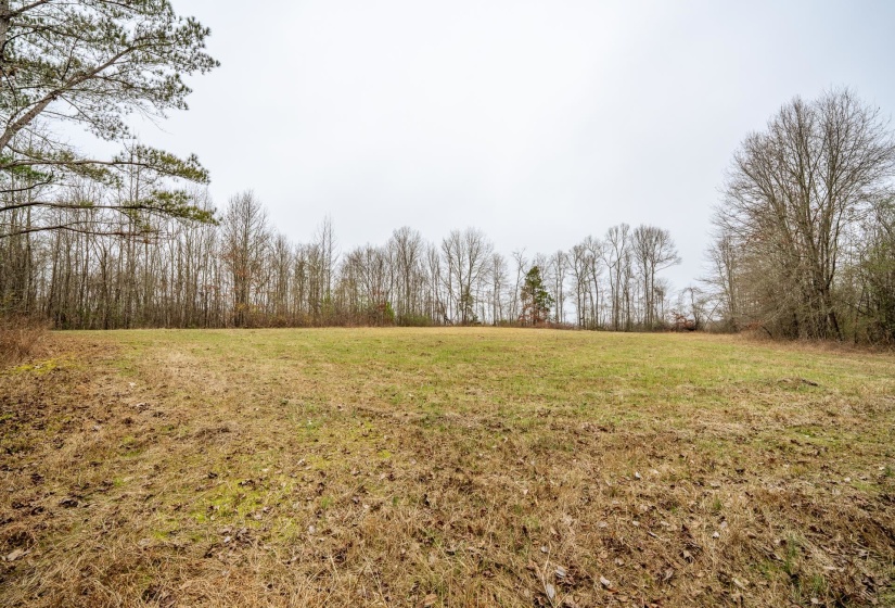 10970 PEA VINE RD, Pocahontas, Tennessee 38061-5002, ,Land,For Sale,PEA VINE,10211941