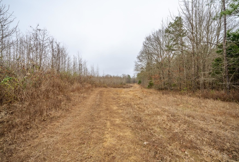 10970 PEA VINE RD, Pocahontas, Tennessee 38061-5002, ,Land,For Sale,PEA VINE,10211941