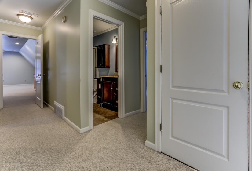 Hall featuring crown molding, carpet, and lofted ceiling