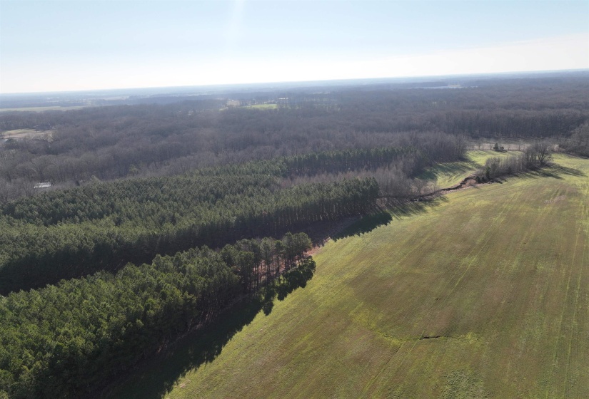 Drone / aerial view of a heavily wooded area