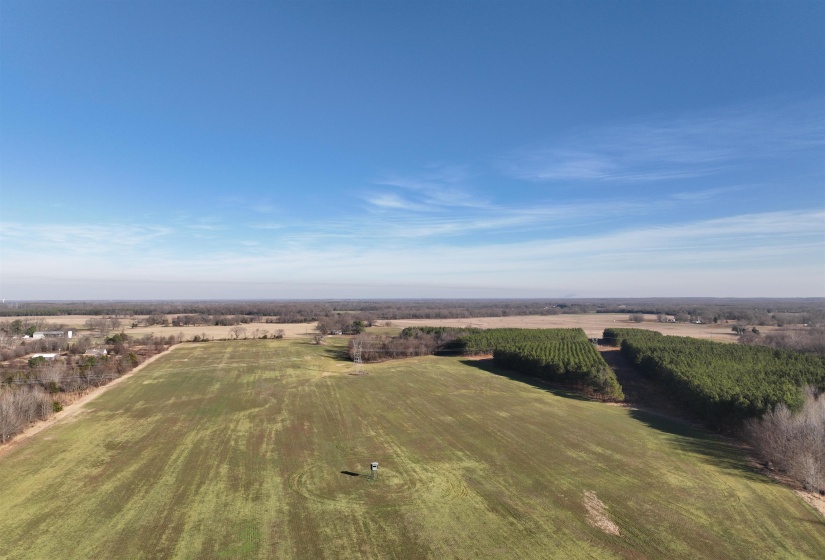 Overview of rural landscape with rows of crops