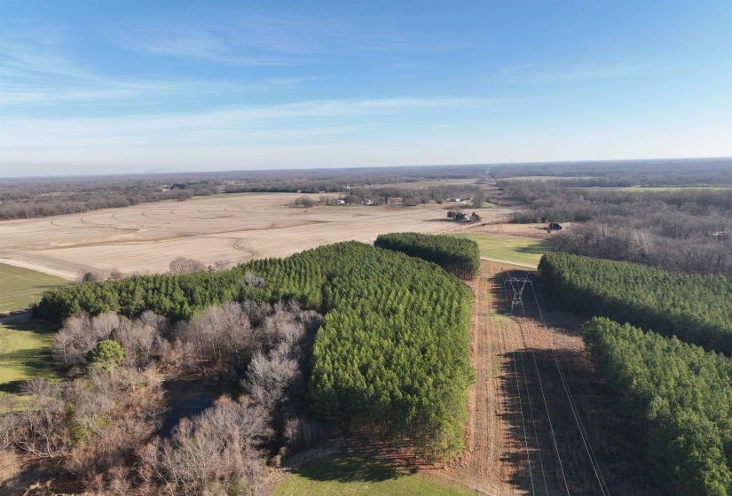 View of rural area featuring extensive farmland