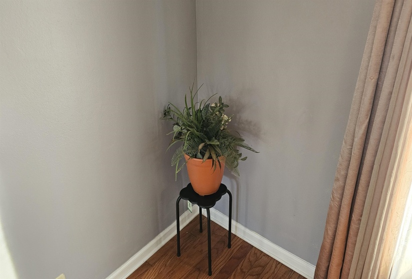Detailed view of baseboards and wood finished floors