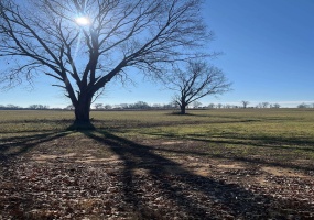 0 OIL MILL RD RD, Covington, Tennessee 38019, ,Land,For Sale,OIL MILL RD,10212149