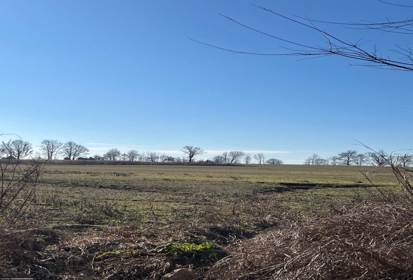 0 OIL MILL RD RD, Covington, Tennessee 38019, ,Land,For Sale,OIL MILL RD,10212149