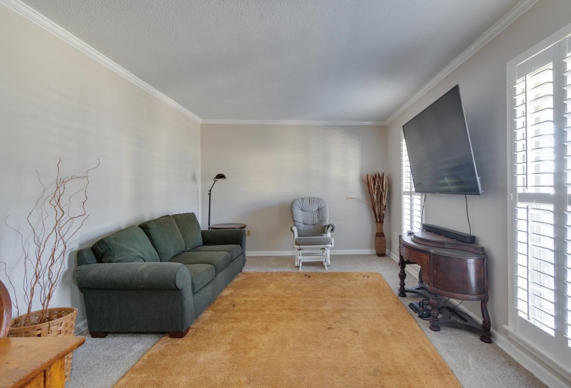 Living area with crown molding, carpet, and a textured ceiling