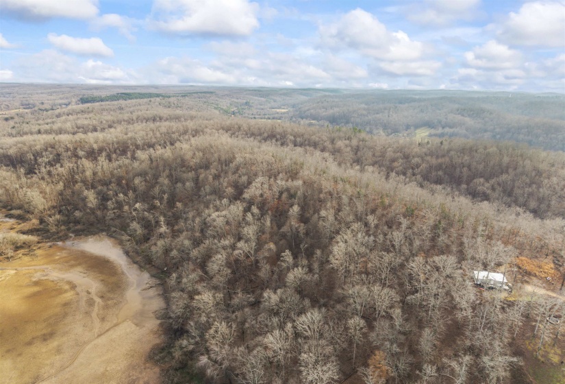 Aerial view of a forest