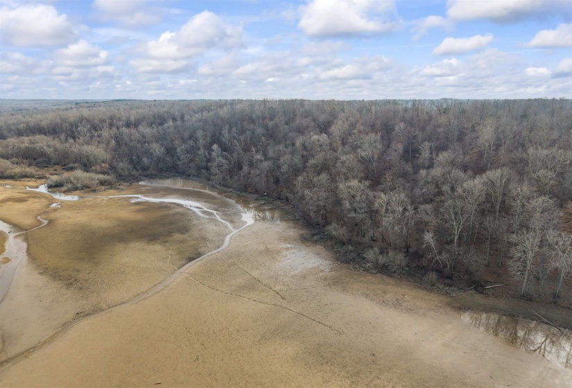 Bird's eye view of a forest