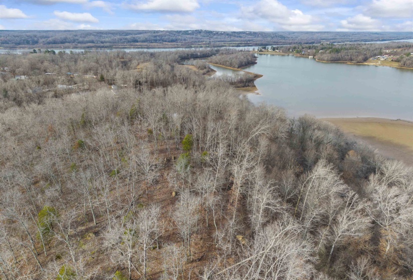 0 TOMS CREEK RD, Linden, Tennessee 37096, ,Land,For Sale,TOMS CREEK,10212263