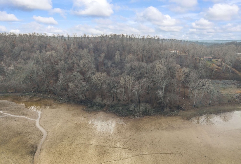 View of property location featuring a forest