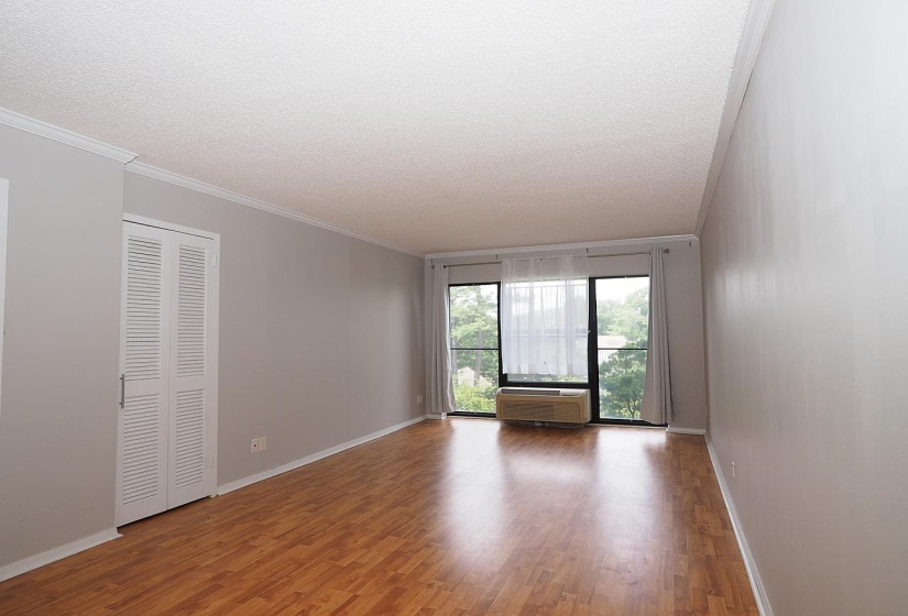 Spacious room featuring wood-finish flooring, light grey walls, and crown molding