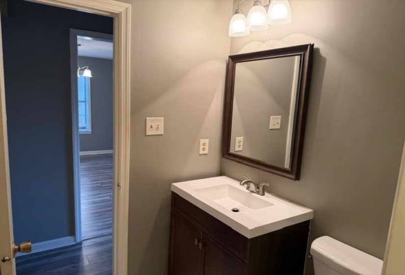 Bathroom with vanity and dark wood-style flooring