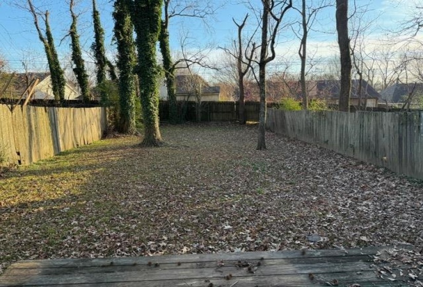 View of fenced backyard