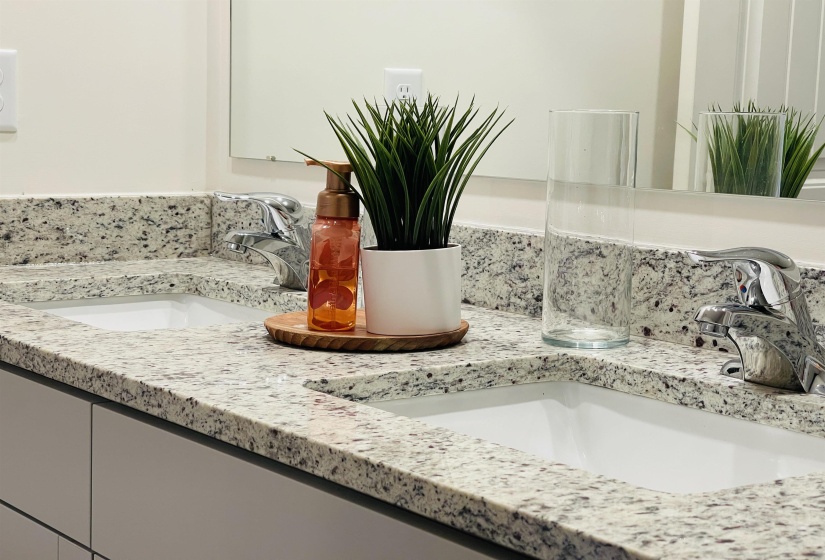Bathroom view of double vanity