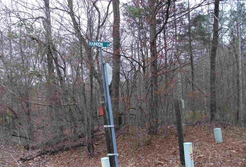 LOT 22A RAINBOW LN, Counce, Tennessee 38326, ,Land,For Sale,RAINBOW,10212421
