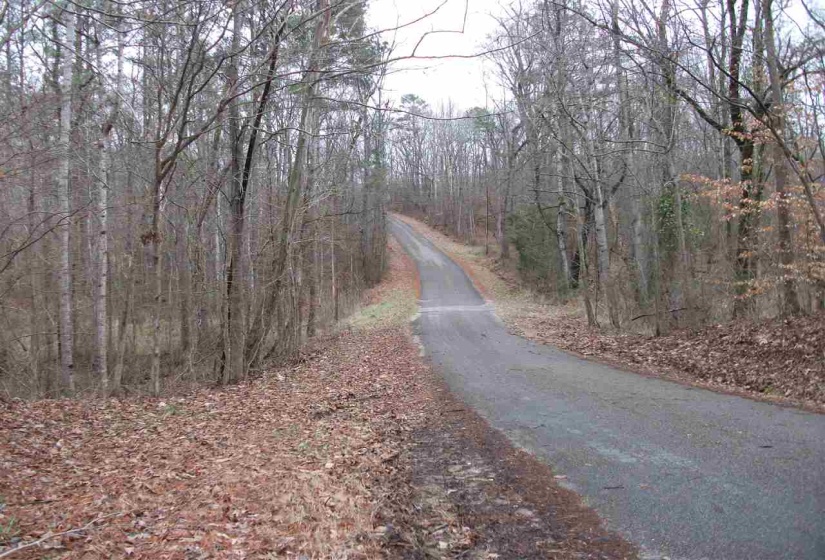 LOT 22A RAINBOW LN, Counce, Tennessee 38326, ,Land,For Sale,RAINBOW,10212421