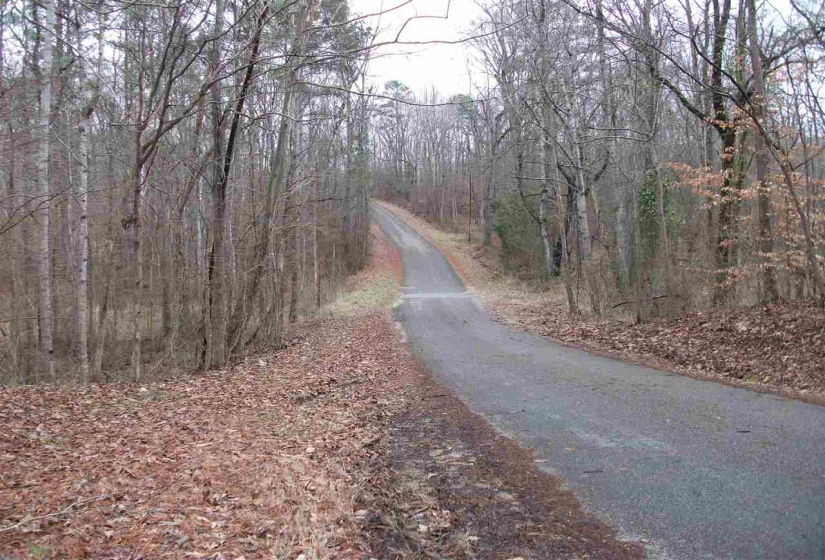 LOT 22A RAINBOW LN, Counce, Tennessee 38326, ,Land,For Sale,RAINBOW,10212421