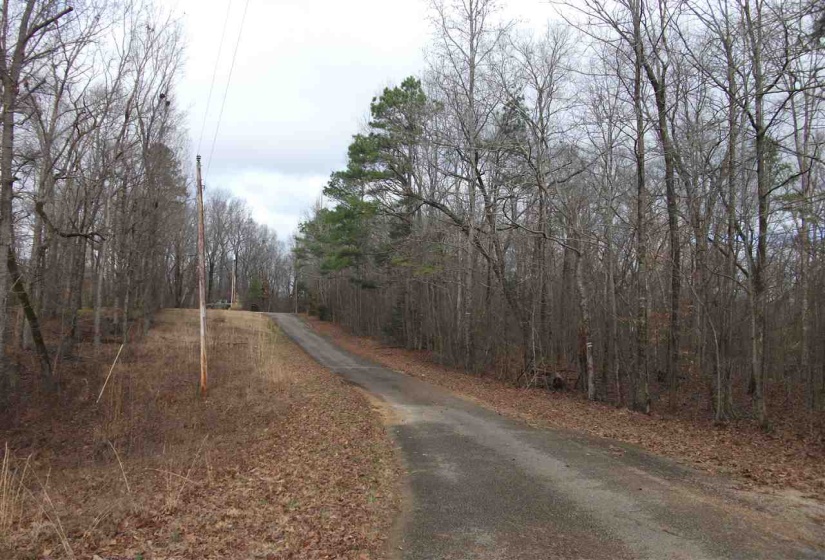 LOT 13 RAINBOW LN, Counce, Tennessee 38326, ,Land,For Sale,RAINBOW,10212425