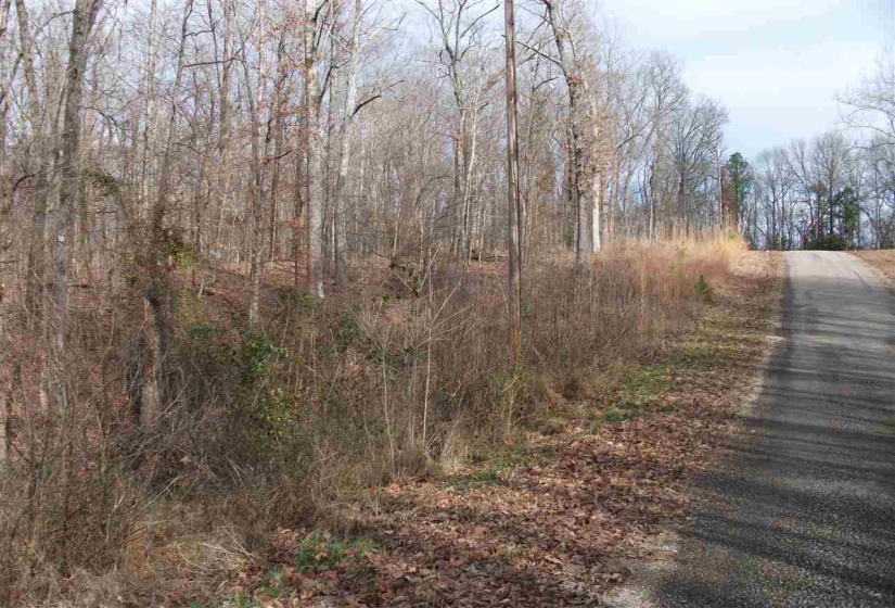 LOT 13 RAINBOW LN, Counce, Tennessee 38326, ,Land,For Sale,RAINBOW,10212425