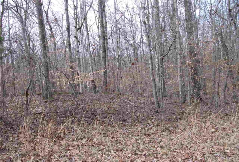 LOT 14 RAINBOW LN, Counce, Tennessee 38326, ,Land,For Sale,RAINBOW,10212426