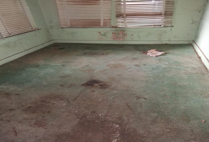 768 AYERS ST, Memphis, Tennessee 38107, 3 Bedrooms Bedrooms, 6 Rooms Rooms,1 BathroomBathrooms,Residential,For Sale,AYERS,10208547