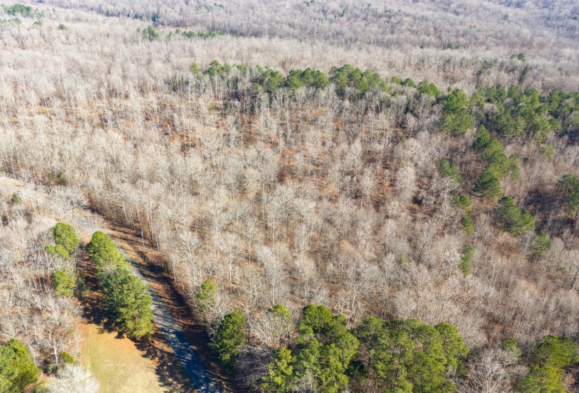 Bird's eye view of a heavily wooded area