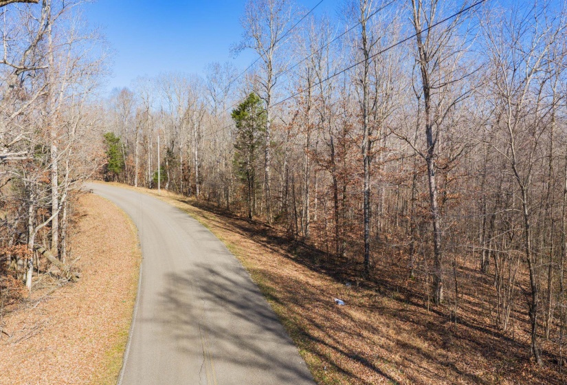 View of asphalt street featuring a forest view