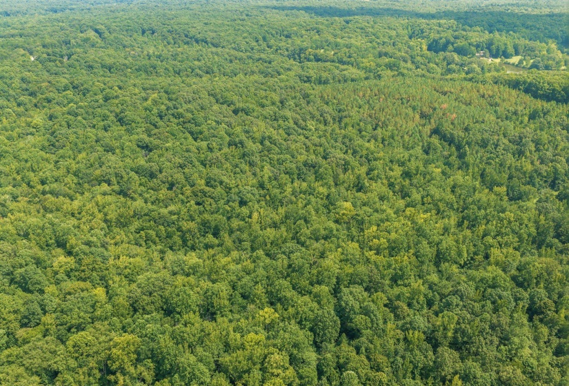 00 HOLLADAY RD, Parsons, Tennessee 38363, 0 , 0 ,0,Land,For Sale,HOLLADAY,0,10212491